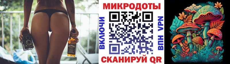 Галлюциногенные грибы Psilocybine cubensis  Иваново 